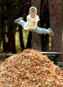 Boy jumping into a pile of leaves